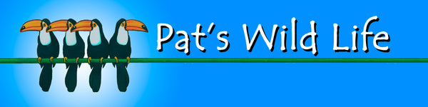 Pat's Wild Life